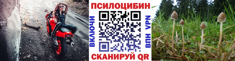 купить наркотик  ссылка на мегу ONION  Псилоцибиновые грибы Magic Shrooms  Кологрив 